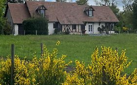Oh ! Fleurs Des Champs